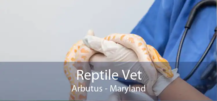 Reptile Vet Arbutus - Maryland