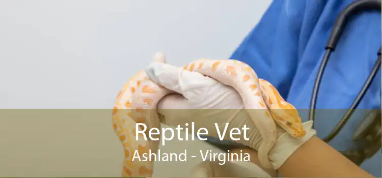 Reptile Vet Ashland - Virginia
