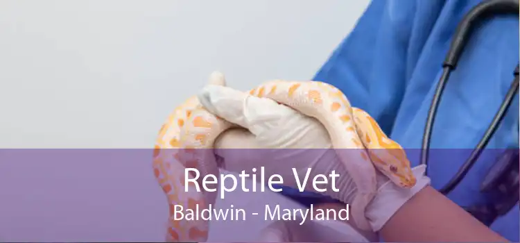 Reptile Vet Baldwin - Maryland