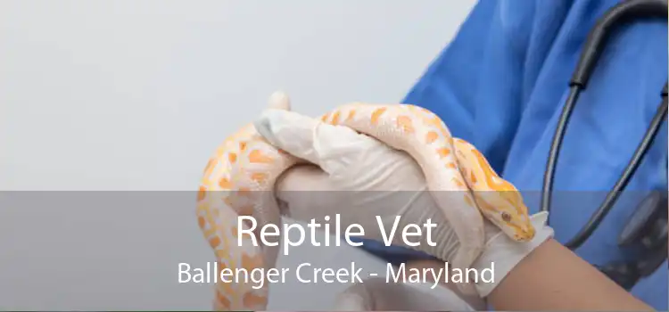 Reptile Vet Ballenger Creek - Maryland