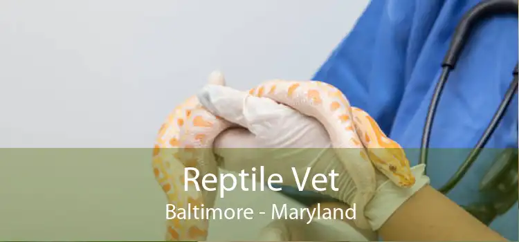 Reptile Vet Baltimore - Maryland
