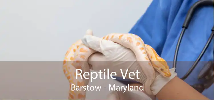Reptile Vet Barstow - Maryland