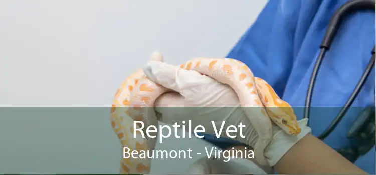 Reptile Vet Beaumont - Virginia