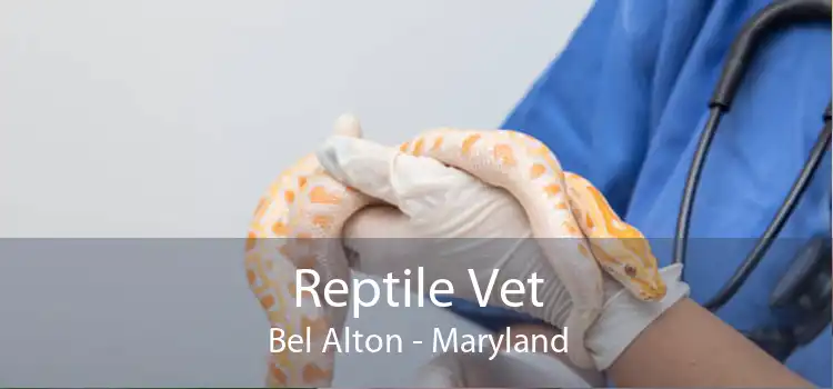 Reptile Vet Bel Alton - Maryland