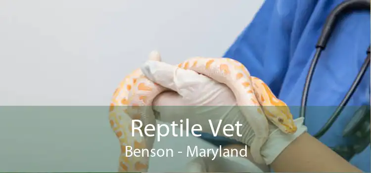 Reptile Vet Benson - Maryland