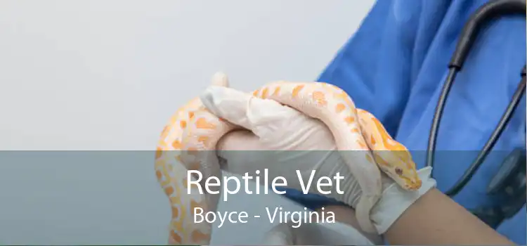Reptile Vet Boyce - Virginia