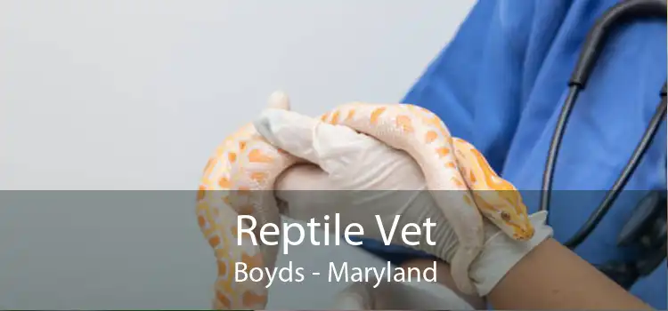 Reptile Vet Boyds - Maryland