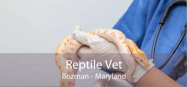 Reptile Vet Bozman - Maryland