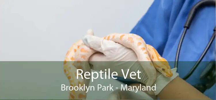 Reptile Vet Brooklyn Park - Maryland
