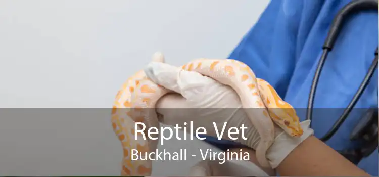 Reptile Vet Buckhall - Virginia