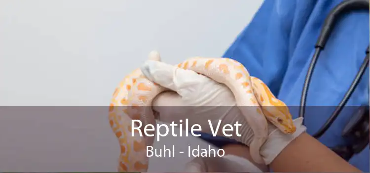 Reptile Vet Buhl - Idaho