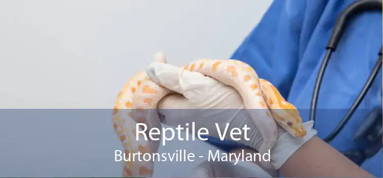 Reptile Vet Burtonsville - Maryland