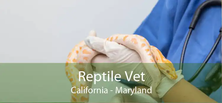 Reptile Vet California - Maryland