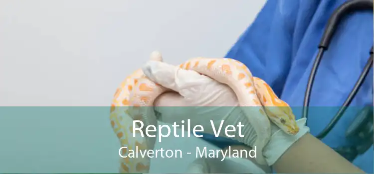 Reptile Vet Calverton - Maryland
