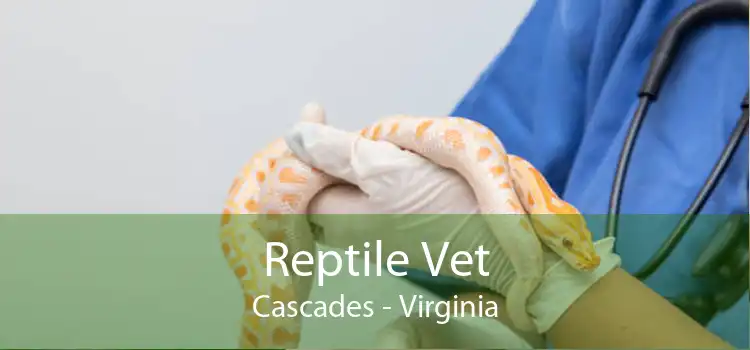 Reptile Vet Cascades - Virginia