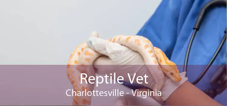 Reptile Vet Charlottesville - Virginia
