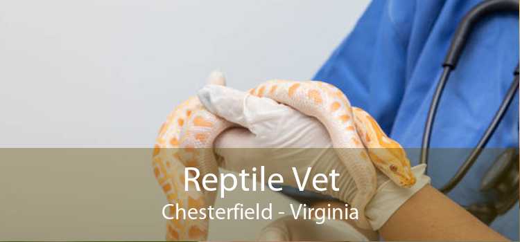View of Reptile Vet Chesterfield - 24 Hour Reptile Vet Near Me