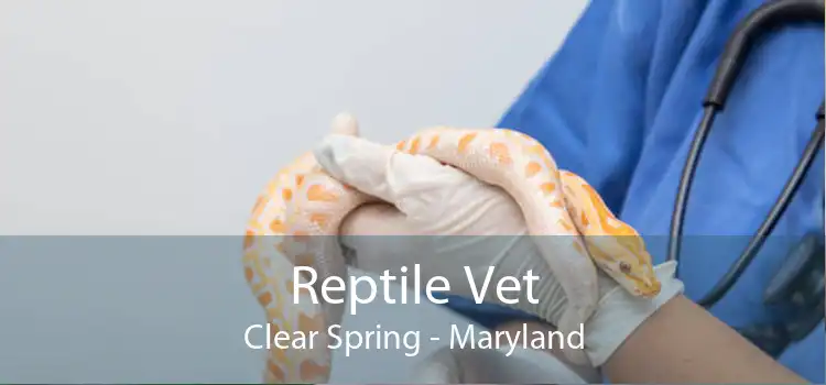 Reptile Vet Clear Spring - Maryland