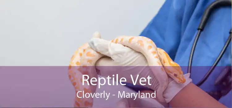 Reptile Vet Cloverly - Maryland