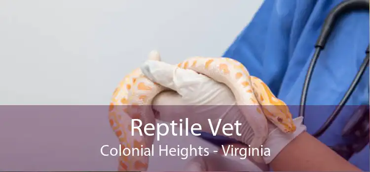 Reptile Vet Colonial Heights - Virginia
