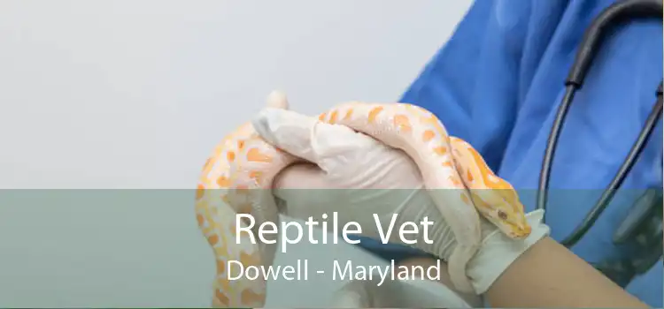 Reptile Vet Dowell - Maryland