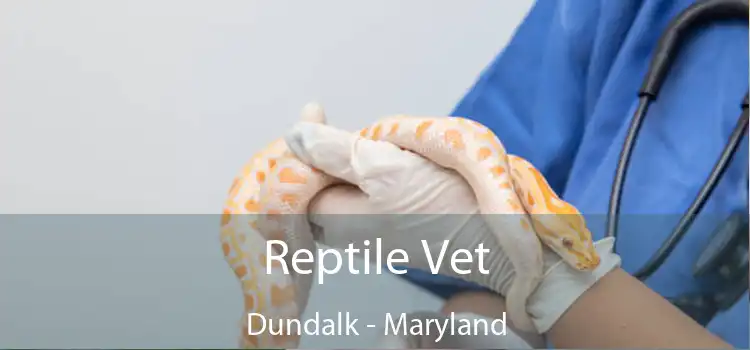 Reptile Vet Dundalk - Maryland