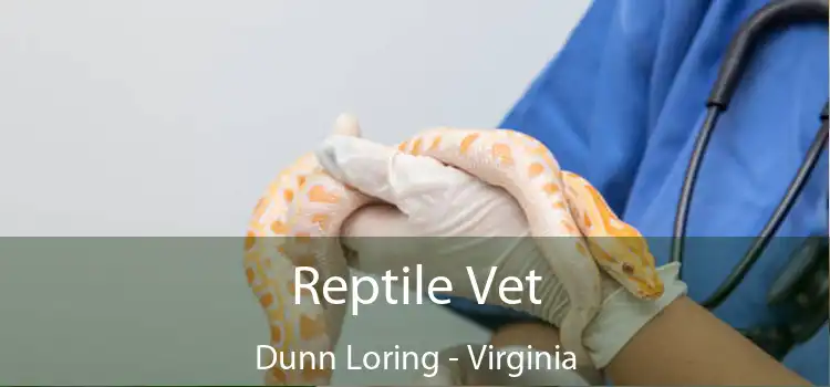 Reptile Vet Dunn Loring - Virginia