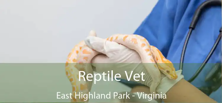 Reptile Vet East Highland Park - Virginia