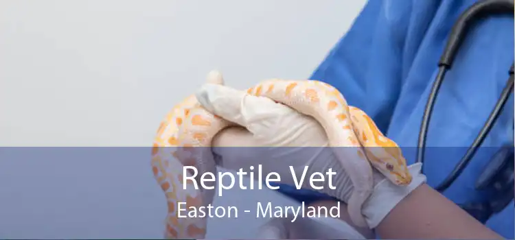Reptile Vet Easton - Maryland
