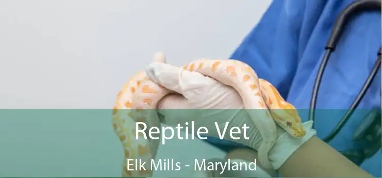 Reptile Vet Elk Mills - Maryland