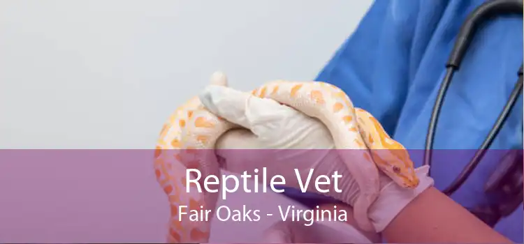 Reptile Vet Fair Oaks - Virginia