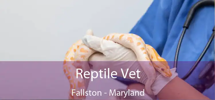Reptile Vet Fallston - Maryland