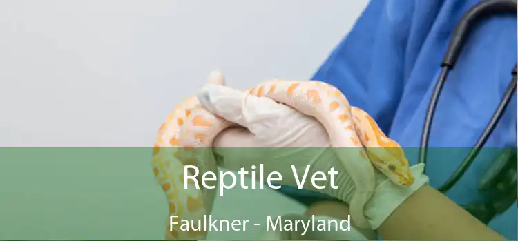 Reptile Vet Faulkner - Maryland