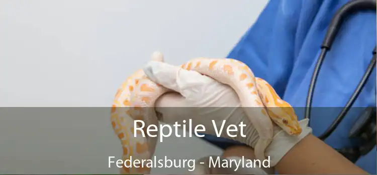 Reptile Vet Federalsburg - Maryland