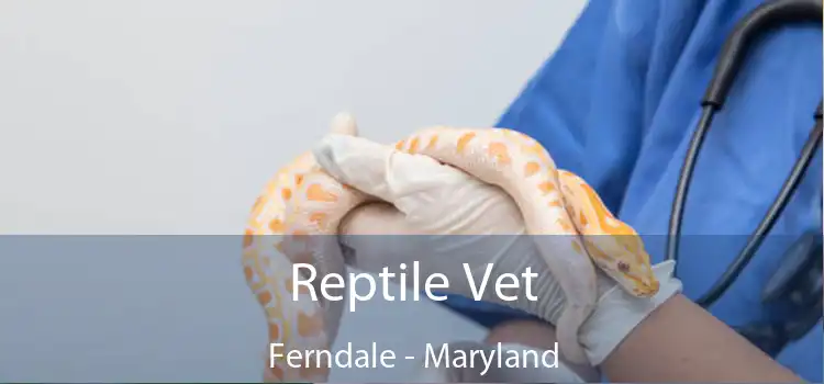 Reptile Vet Ferndale - Maryland