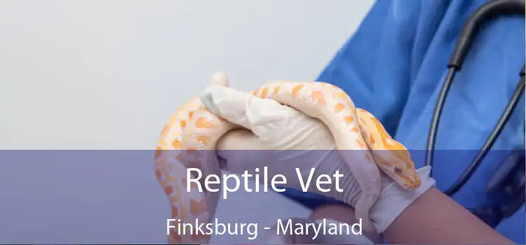 Reptile Vet Finksburg - Maryland