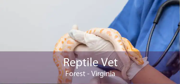 Reptile Vet Forest - Virginia