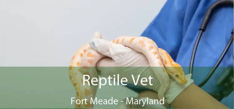 Reptile Vet Fort Meade - Maryland