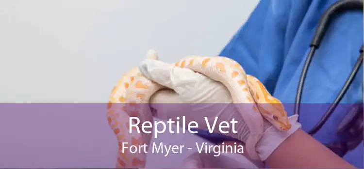 Reptile Vet Fort Myer - Virginia