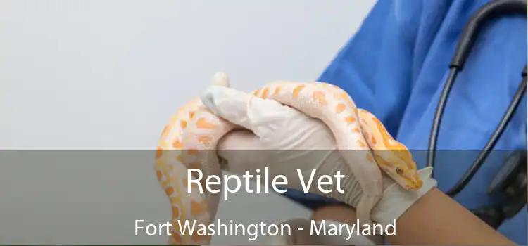 Reptile Vet Fort Washington - Maryland