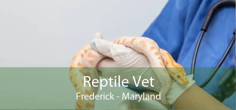 Reptile Vet Frederick - Maryland