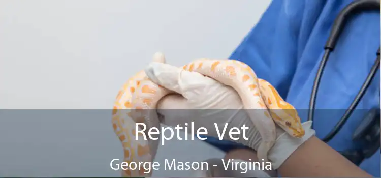 Reptile Vet George Mason - Virginia
