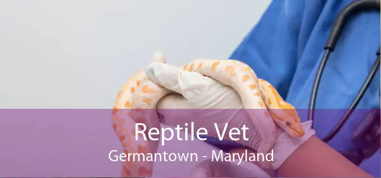 Reptile Vet Germantown - Maryland