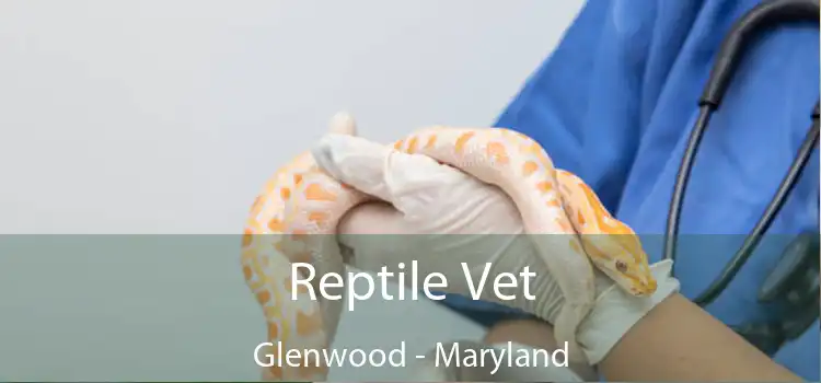 Reptile Vet Glenwood - Maryland