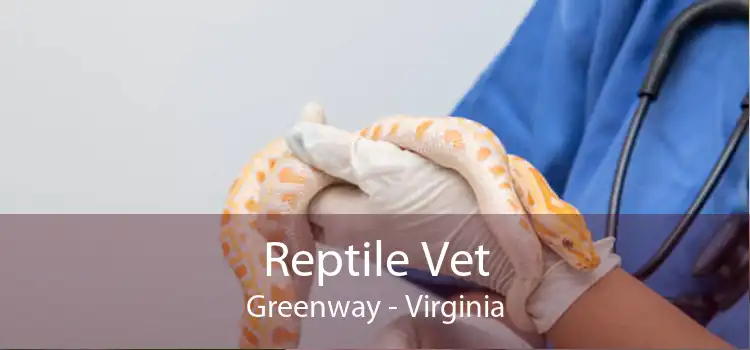 Reptile Vet Greenway - Virginia
