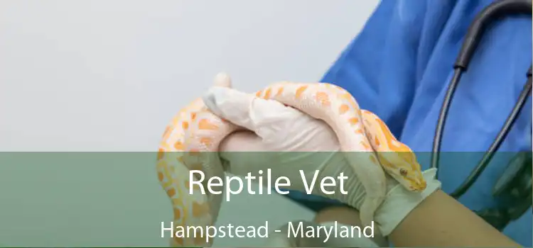 Reptile Vet Hampstead - Maryland
