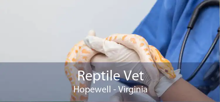 Reptile Vet Hopewell - Virginia