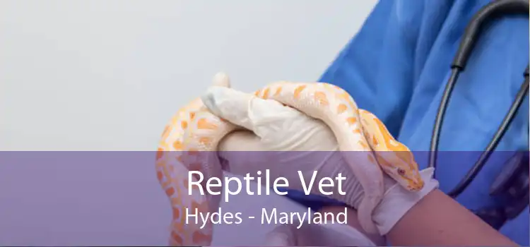 Reptile Vet Hydes - Maryland