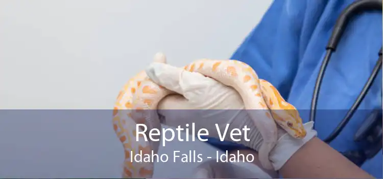 Reptile Vet Idaho Falls - Idaho