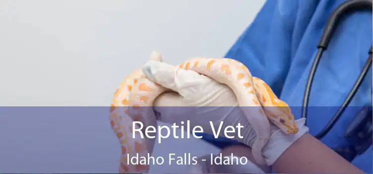 Reptile Vet Idaho Falls - Idaho